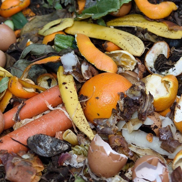 Waste Management